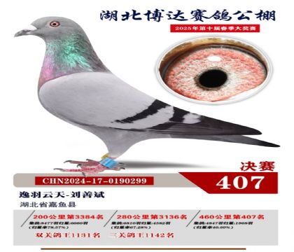 _(d)Qِ407