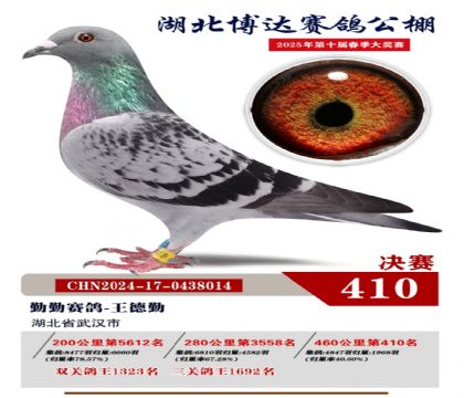 博達(dá)春棚決賽410名