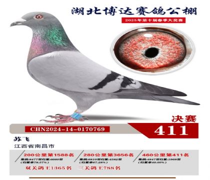 _(d)Qِ411