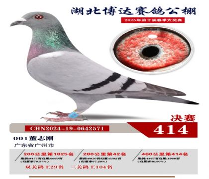 _(d)Qِ414