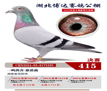 博達(dá)春棚決賽415名