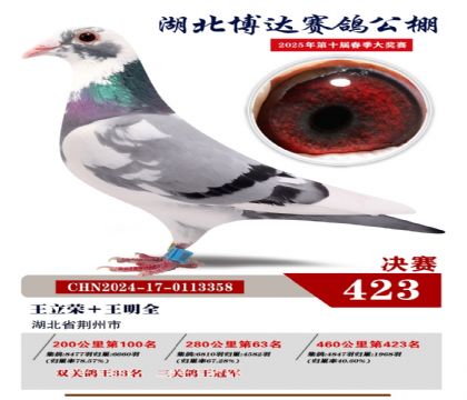 _(d)Qِ423