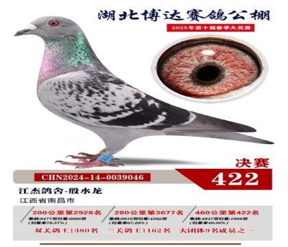 _(d)Qِ422