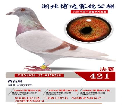 _(d)Qِ421