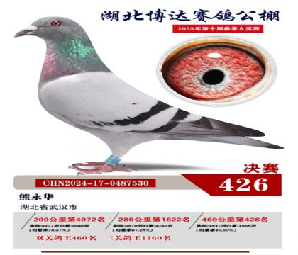 _(d)Qِ426