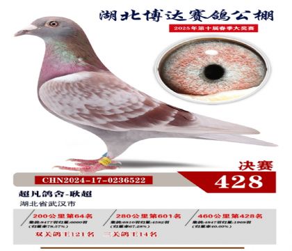 _(d)Qِ428
