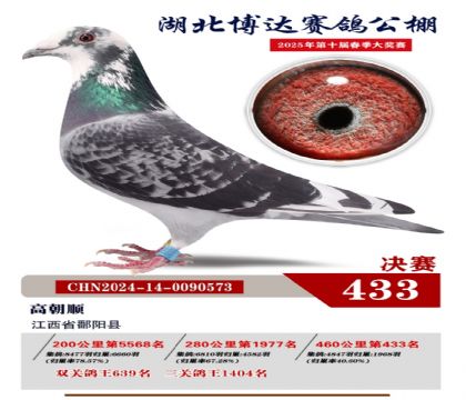 博達(dá)春棚決賽433名
