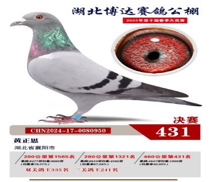 _(d)Qِ431