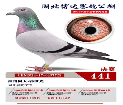_Qِ441
