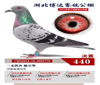 _(d)Qِ440