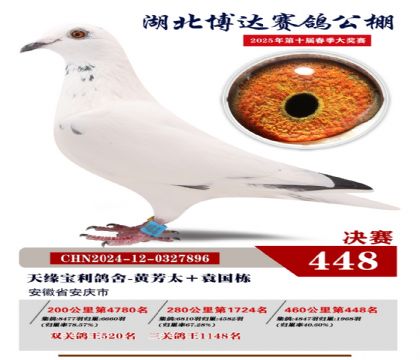 _(d)Qِ448