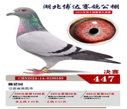 _Qِ447