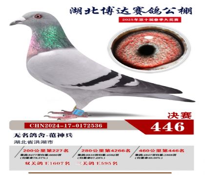 _(d)Qِ446
