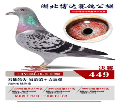_(d)Qِ449