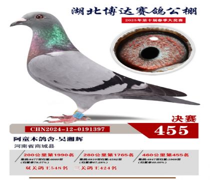 _(d)Qِ455