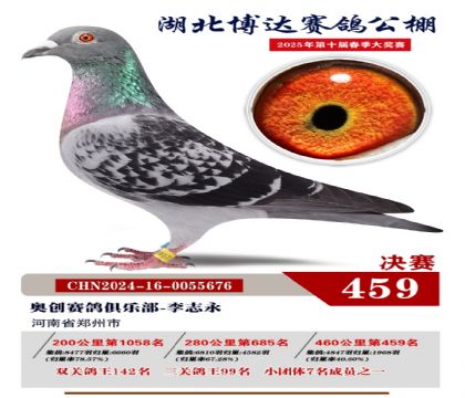_(d)Qِ459