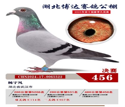 博達春棚決賽456名