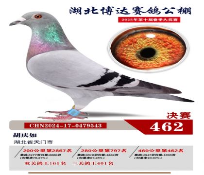 _(d)Qِ462