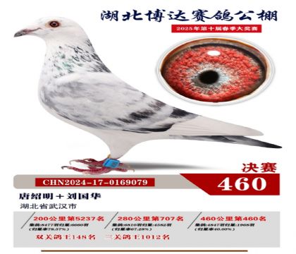 博達(dá)春棚決賽460名