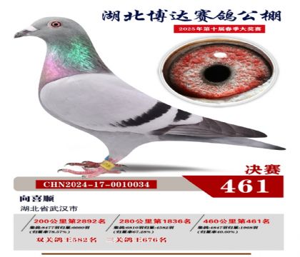 _(d)Qِ461