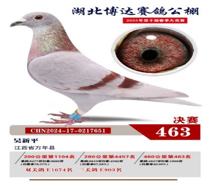 _(d)Qِ463