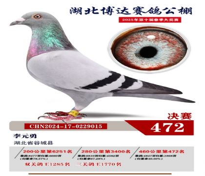 _(d)Qِ472