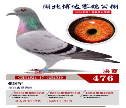 _(d)Qِ476