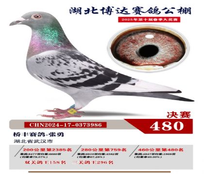 _(d)Qِ480