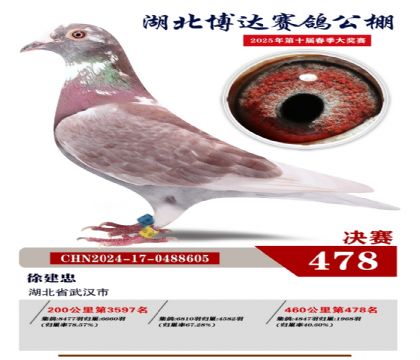 博達春棚決賽478名