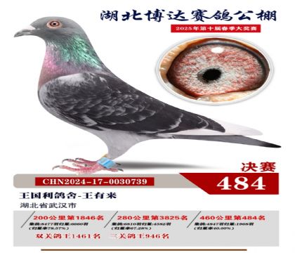 _(d)Qِ484