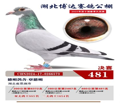 _(d)Qِ481