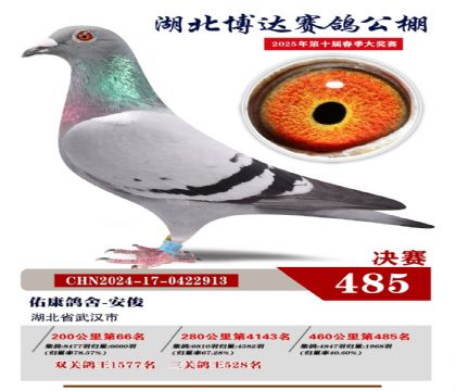 _(d)Qِ485