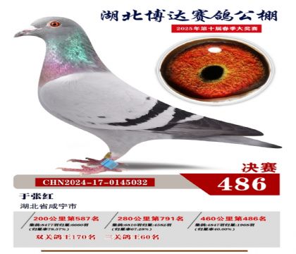 博達(dá)春棚決賽486名