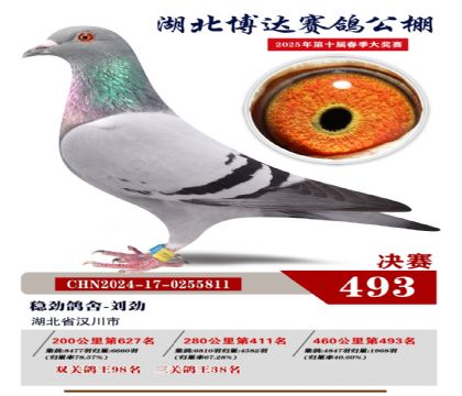 _(d)Qِ493
