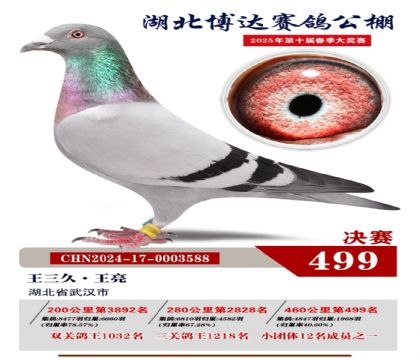 _(d)Qِ499