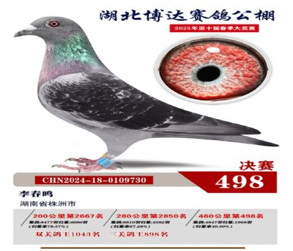 _(d)Qِ498