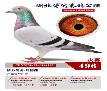 _(d)Qِ496