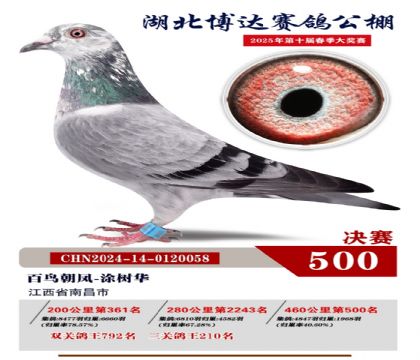 _Qِ500