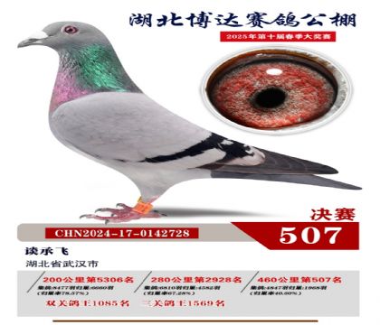 博達春棚決賽507名