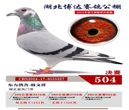 博達春棚決賽504名