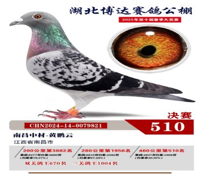博達春棚決賽510名