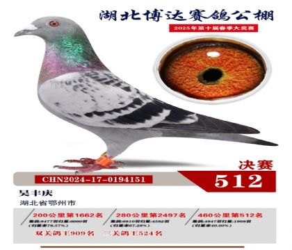 博達春棚決賽512名