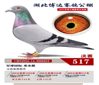 博達春棚決賽517名