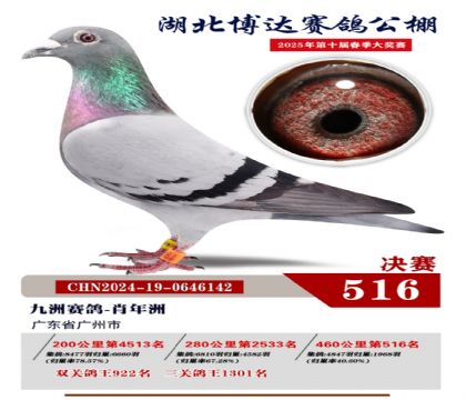 博達春棚決賽516名