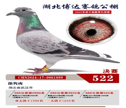 博達春棚決賽522名