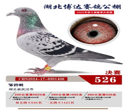 博達春棚決賽526名