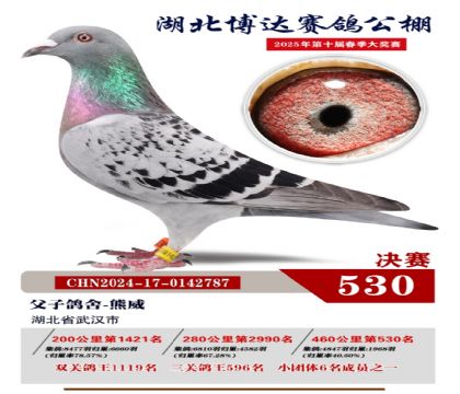 博達春棚決賽530名