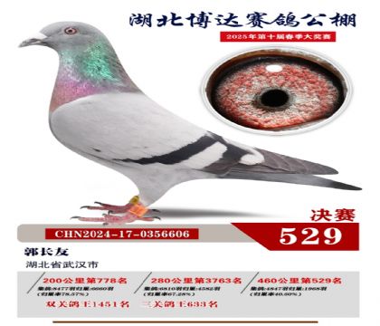 博達春棚決賽529名
