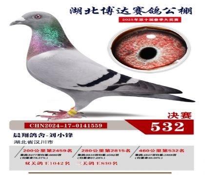 博達春棚決賽532名