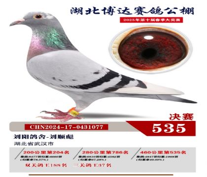 博達春棚決賽535名